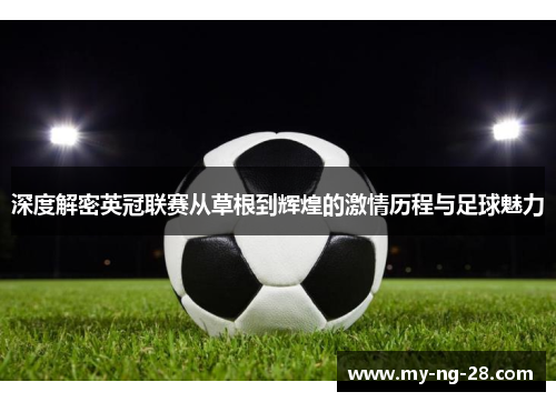 深度解密英冠联赛从草根到辉煌的激情历程与足球魅力